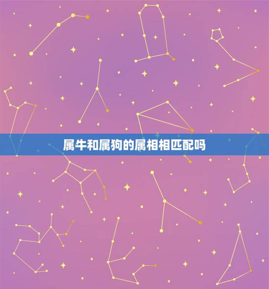 属牛和属狗的属相相匹配吗,73年属牛与82年属狗相配吗?可以做夫妻吗? 属牛和属狗的属相相匹配吗,73年属牛与82年属狗相配吗?可以做夫妻吗?