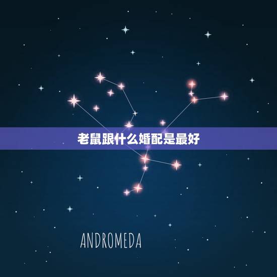 老鼠跟什么婚配是最好，属鼠最合适的婚配
