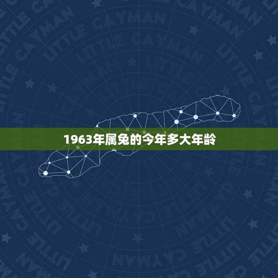 1963年属兔的今年多大年龄，1963年属兔今年多少岁
