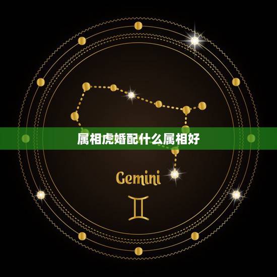 属相虎婚配什么属相好，属虎的适合配什么生肖的结婚？