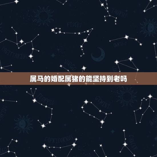 属马的婚配属猪的能坚持到老吗，属马的能不能和属猪的相配？