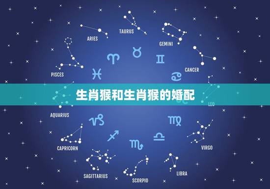 生肖猴和生肖猴的婚配,属猴的和什么属相最配 属猴的属相婚配表 生肖猴和生肖猴的婚配,属猴的和什么属相最配 属猴的属相婚配表