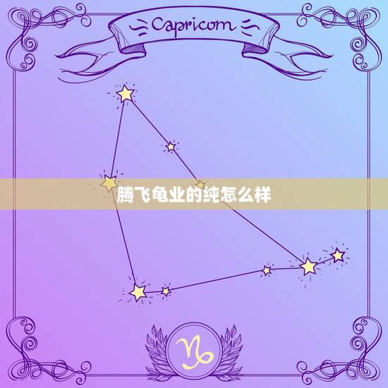 腾飞龟业的纯怎么样，怎么区别箱母