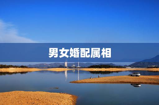 男女婚配属相,十二生肖男女婚配表 男女婚配属相,十二生肖男女婚配表
