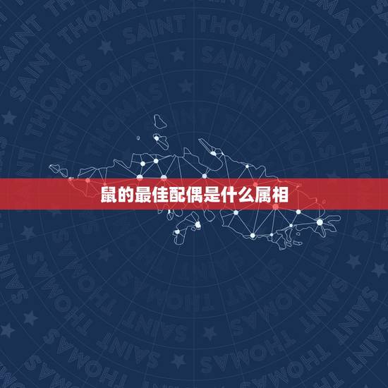 鼠的最佳配偶是什么属相，十二生肖配对算命，输血血型配对，鼠的最佳配对属