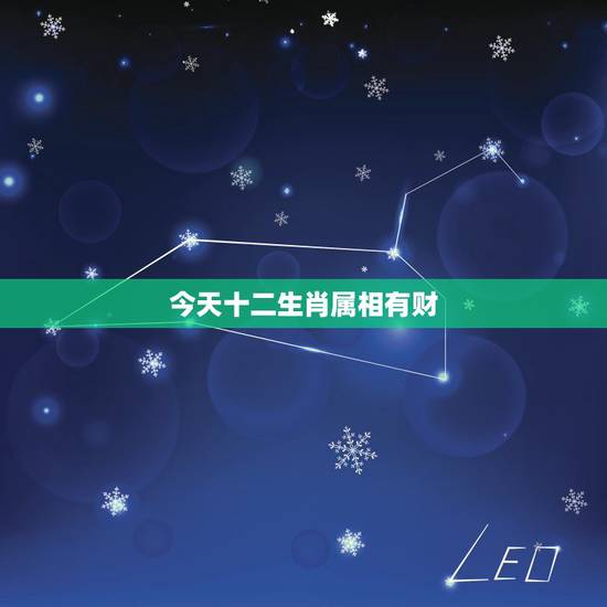 今天十二生肖属相有财，财是指什么生肖