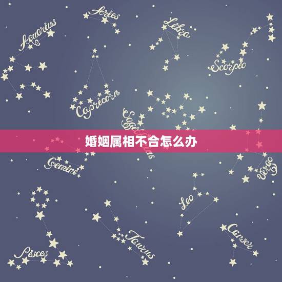 婚姻属相不合怎么办，婚配时说属相不合的人，结婚后如何了？