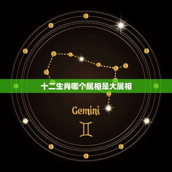 十二生肖哪个属相是大属相,十二生肖中哪些生肖是属于大生肖 十二生肖哪个属相是大属相,十二生肖中哪些生肖是属于大生肖