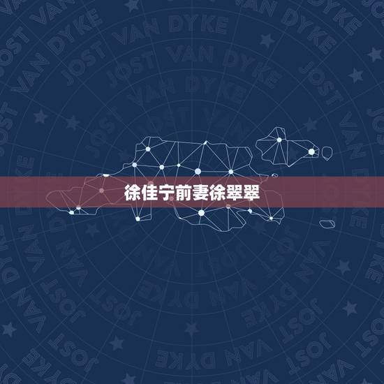 徐佳宁前妻徐翠翠，徐佳宁前妻是谁？