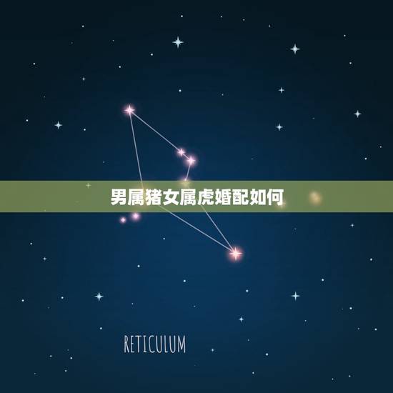 男属猪女属虎婚配如何,男属猪女属虎配吗 男属猪女属虎婚配如何,男属猪女属虎配吗