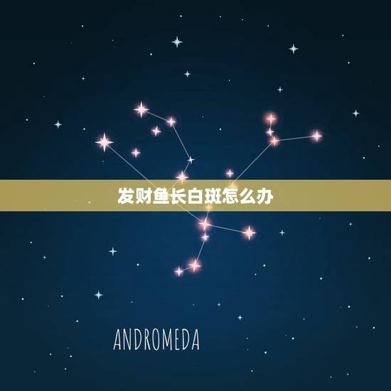 发财鱼长白斑怎么办，发财鱼身上有白点怎么办