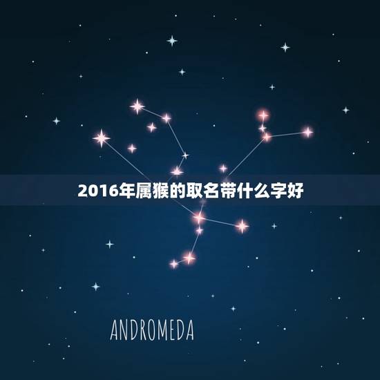 2016年属猴的取名带什么字好(如何为你的小猴子取一个吉祥美名字) 2016年属猴的取名带什么字好(如何为你的小猴子取一个吉祥美名字)