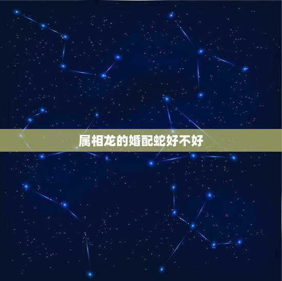 属相龙的婚配蛇好不好,女属龙男属蛇结为夫妻会怎么样 属相龙的婚配蛇好不好,女属龙男属蛇结为夫妻会怎么样