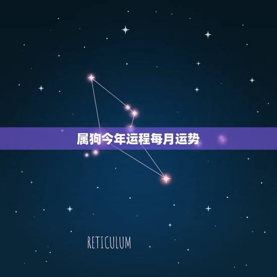 属狗今年运程每月运势，70属狗2022 年每月运程