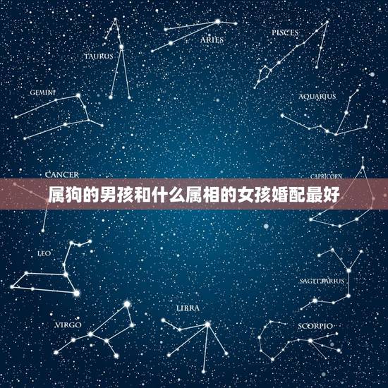 属狗的男孩和什么属相的女孩婚配最好,男属狗的和什么属相最配 属狗的男孩和什么属相的女孩婚配最好,男属狗的和什么属相最配