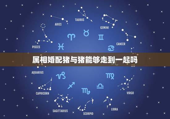 属相婚配猪与猪能够走到一起吗，属相婚配，同年男女猪能结婚吗