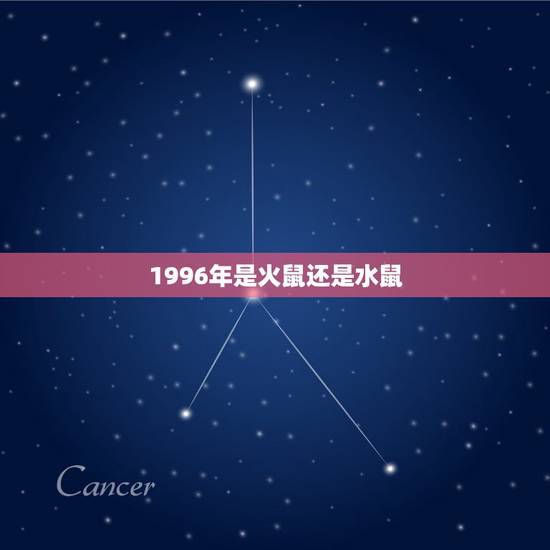 1996年是火鼠还是水鼠,适合属鼠发展的大城市 1996年是火鼠还是水鼠,适合属鼠发展的大城市