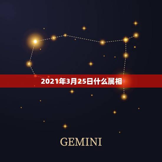 2021年3月25日什么属相，2021年是什么生肖年？