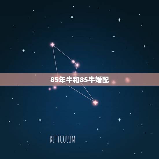 85年牛和85牛婚配，1985属牛女和1985年属牛男配吗？