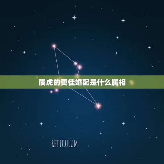 属虎的更佳婚配是什么属相,1998女属虎婚配表 属虎的更佳婚配是什么属相,1998女属虎婚配表