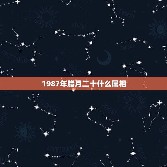 1987年腊月二十什么属相,农历1987年腊月二十一属什么? 1987年腊月二十什么属相,农历1987年腊月二十一属什么?