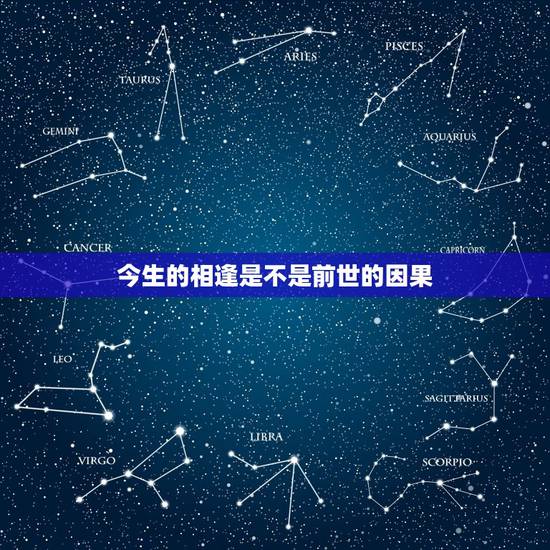 今生的相逢是不是前世的因果，今生贪恋养花草植物，是何因缘？三世因果有说
