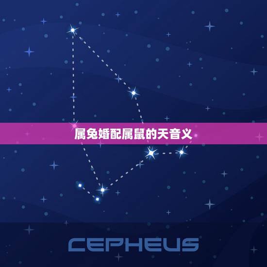 属兔婚配属鼠的天音义,属兔和属鼠相配吗 属兔婚配属鼠的天音义,属兔和属鼠相配吗
