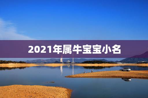 2021年属牛宝宝小名,2021年属牛的女孩叫什么名字 2021年属牛宝宝小名,2021年属牛的女孩叫什么名字