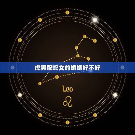 虎男配蛇女的婚姻好不好,蛇女和虎男是上等婚吗 虎男配蛇女的婚姻好不好,蛇女和虎男是上等婚吗