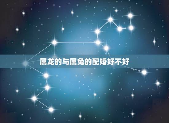 属龙的与属兔的配婚好不好，12生肖婚姻匹配