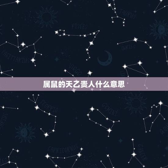 属鼠的天乙贵人什么意思,属鼠的是什么命 属鼠的天乙贵人什么意思,属鼠的是什么命