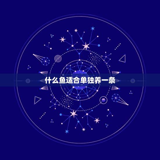 什么鱼适合单独养一条,适合家里养的鱼有哪些 什么鱼适合单独养一条,适合家里养的鱼有哪些