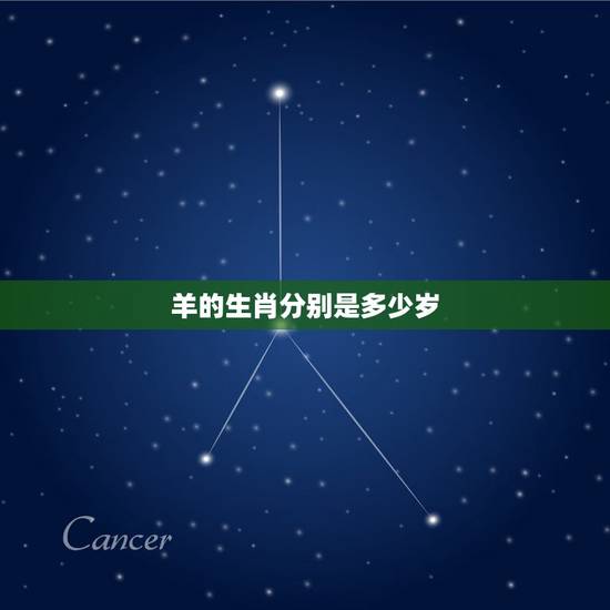 羊的生肖分别是多少岁，十二生肖的性格