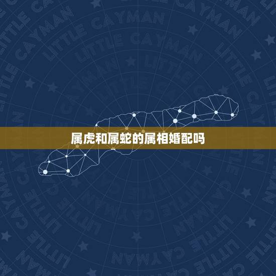 属虎和属蛇的属相婚配吗，属虎的人不适合跟属蛇的人在一起吗？虎与蛇相克的