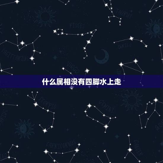 什么属相没有四脚水上走，没有四脚水上走，猜生肖