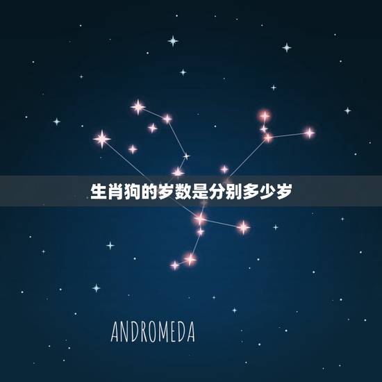 生肖狗的岁数是分别多少岁，属狗多大