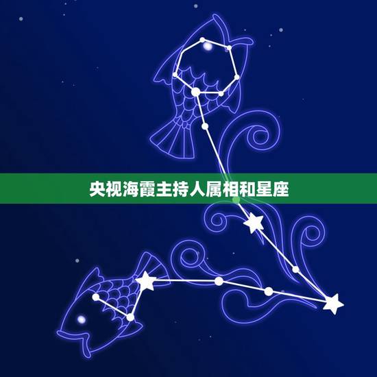 央视海霞主持人属相和星座，中央电视台主持人海霞简历