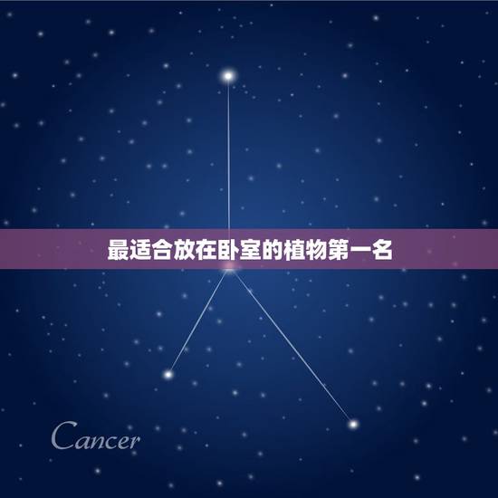 最适合放在卧室的植物第一名,适合放在卧室的花卉植物有哪些? 最适合放在卧室的植物第一名,适合放在卧室的花卉植物有哪些?