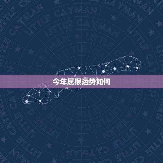 今年属猴运势如何，属猴的今年运气怎么样
