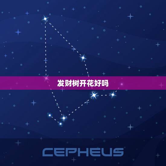 发财树开花好吗，发财树会开花吗？