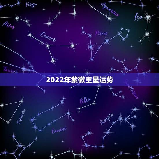 2022年紫微主星运势，2022年运势免费测算