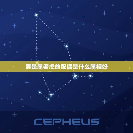 男是属老虎的配偶是什么属相好，属虎的男生配什么生肖的女生最好