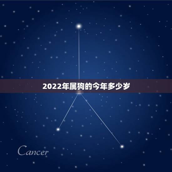 2022年属狗的今年多少岁,属马今年多大 2022年属狗的今年多少岁,属马今年多大