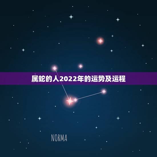 属蛇的人2022年的运势及运程,2022年蛇女的全年运势 属蛇的人2022年的运势及运程,2022年蛇女的全年运势