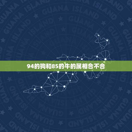 94的狗和85的牛的属相合不合，1985年属牛男跟1994年属狗女结婚