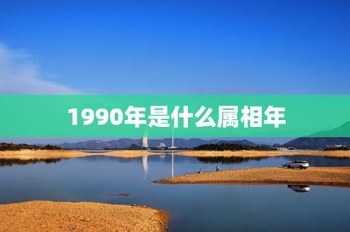 1990年是什么属相年，1990年属马命数是什么
