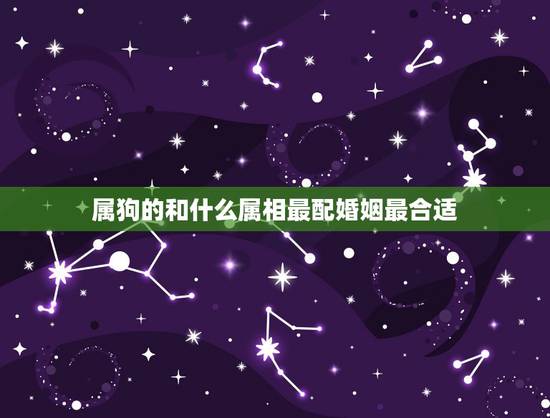 属狗的和什么属相最配婚姻最合适,女属狗和什么属相不合 属狗的和什么属相最配婚姻最合适,女属狗和什么属相不合