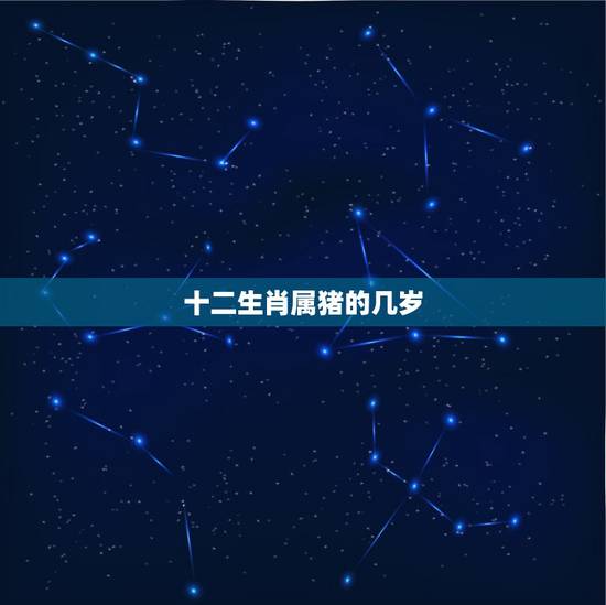 十二生肖属猪的几岁,属牛的年份表 十二生肖属猪的几岁,属牛的年份表