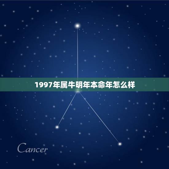 1997年属牛明年本命年怎么样，1997属牛人2021年本命年如何