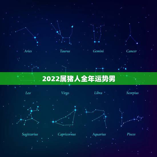 2022属猪人全年运势男，2022年12生肖运势解析